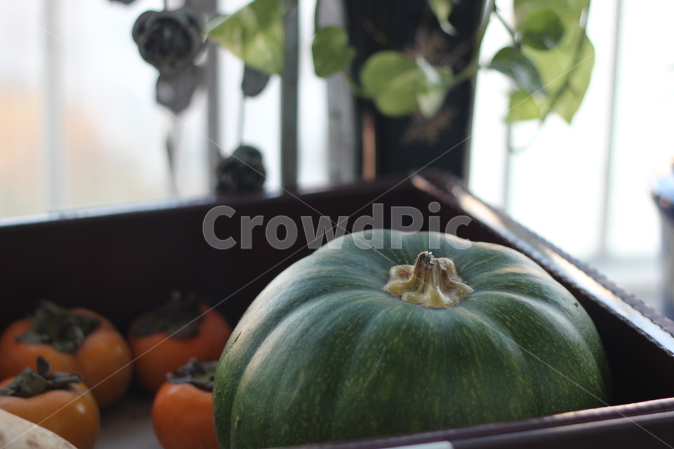 베란다,호박,감,정겨운,집안풍경,음식,식재료,요리,food,cook,meal,dishes,food reserves,과일,열매,fruit