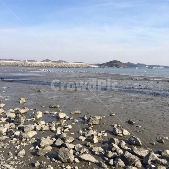 갯벌,바다,뻘,밀물,썰물,자연,풍경,nature,landscape
