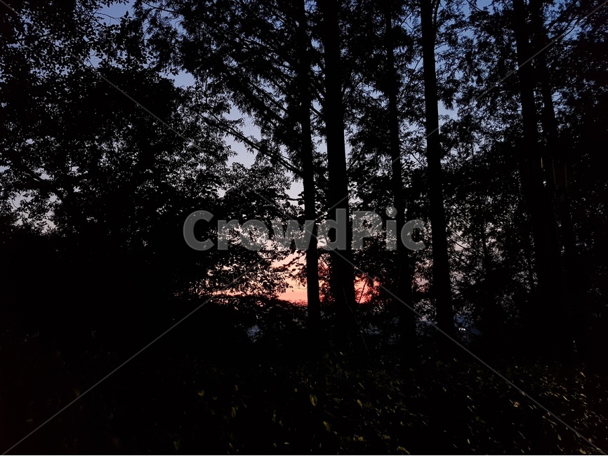 저녁,남산,서울,감성,노을,하늘,밤,자연,풍경,nature,landscape,silhouette,실루엣