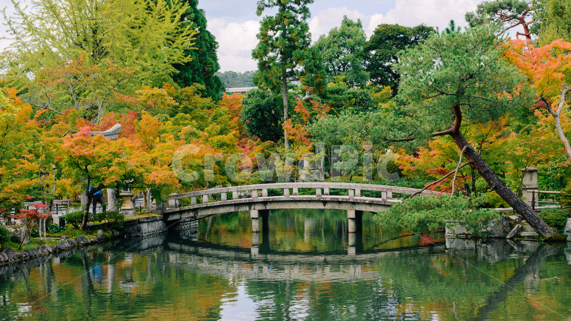 단풍,가을,다리,연못,정원,autumn,colour,pond,bridge,모미지,maple,fall,반영,가을,계절,fall,autumn,season,water,물,outdoors,옥외,nature,자연