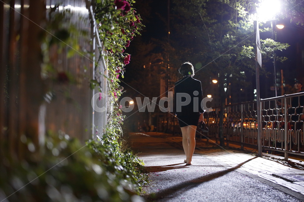 조명,불빛,자연,모델,뒷모습,걷다,길,퇴근길,퇴근,직장인,야경,밤,풍경,nightscape,night,landscape,골목길,alley,사람,인물,인간,human,person,여성,여자,woman,female,lady