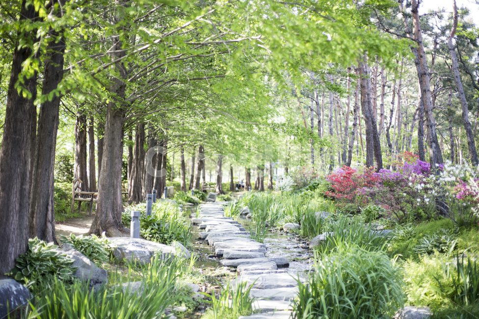 정원,가든,돌담길,돌다리,징검다리,나무,봄,spring,garden,숲길,산책로,walk,way,tracking,road,promenade,esplanade,pleasance,풍경,경치,landscape,view,viewpoint,scene,scenary,자연,풍경,nature,landscape,휴식,힐링,rest,relaxation,healing,path,통로,vegetation,초목,plant,식물