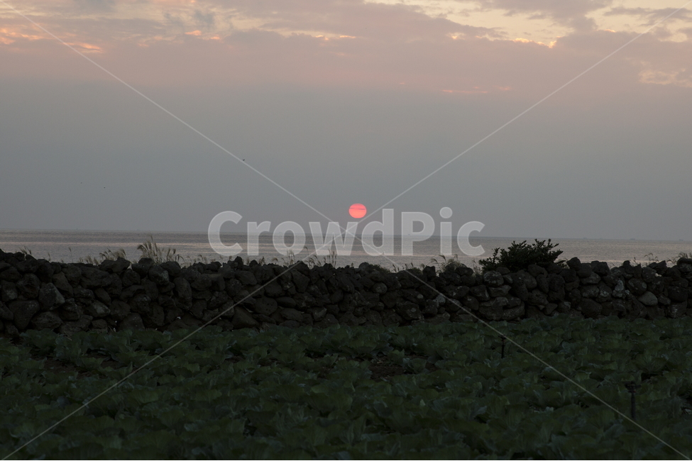 제주,제주일몰,일몰,제주바다,돌담일몰,자연,풍경,nature,landscape,한국자연풍경,한국자연경관,korea nature landscape,제주도,jeju,jeju island,outdoors,옥외