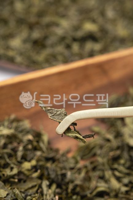 녹차, 찻잎, 녹차잎, 잎, 차, 사진,이미지,일러스트,캘리그라피 - dangolimage작가