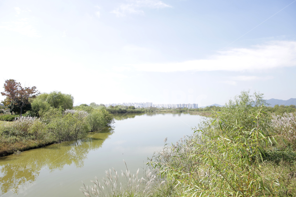 land,땅,nature,자연,outdoors,water,물,자연,풍경,nature,landscape