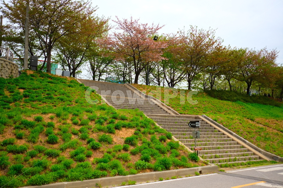 나무,다리,산책,공원,계단
