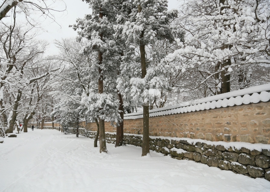 선운사,설경,사찰,눈,겨울,겨울,계절,winter,season,한국전통,한국문화,korean traditional,korean culture