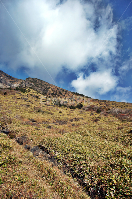 한라산,제주도,한라산국립공원,돈내코코스,조릿대,관목,푸른하늘,구름,암벽,제주도,jeju,jeju island,nature,자연,plateau,고원,outdoors,옥외,ground,바닥
