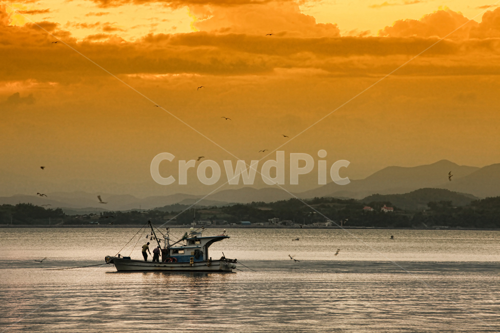 만선,배,바다,노을,어부,갈매기,바다풍경,자연,풍경,nature,landscape,산업,industry,industrial,어업,fishery,fishing industry,교통,교통수단,traffic,transportation,vehicle,차량,boat,보트,watercraft,선박
