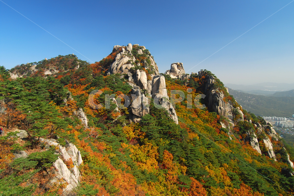 도봉산,산,단풍,가을,계절,풍경,자연,나무,숲,산림,등산,절경,바위,바위산,봉우리,산봉우리,국립공원,하늘,한국,가을,계절,fall,autumn,season,자연,풍경,nature,landscape,한국자연풍경,한국자연경관,korea nature landscape,outdoors,옥외,cliff,낭떠러지