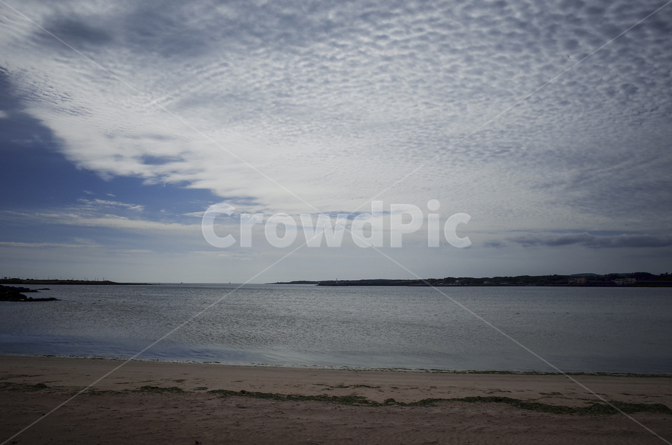 자연,nature,ocean,sea,바다,해안선,shoreline,양털구름,구름,권적운,양털,cloud,blue,자연,풍경,nature,landscape