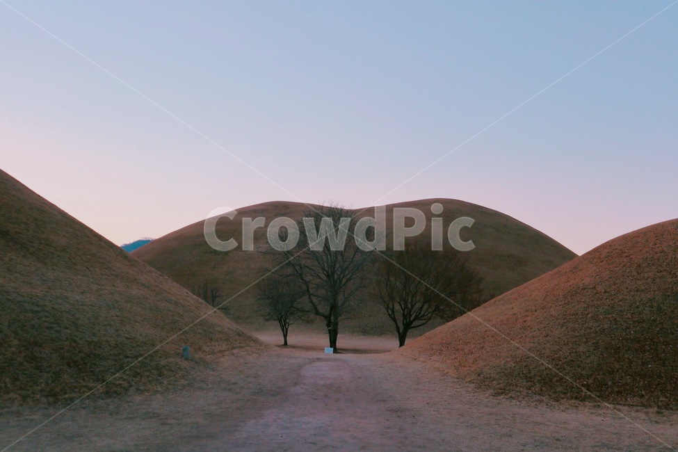 혼자,외로움,겨울,대릉원,나무,자연,풍경,nature,landscape,한국자연풍경,한국자연경관,korea nature landscape,한국전통,한국문화,korean traditional,korean culture,랜드마크,landmark,tourist attraction,한국랜드마크,한국관광지,한국명소,korea landmark,korea tourist attraction,식물,plants,나무,trees,wood,outdoors,옥외,grassland,목초지,field,들,mound,투수판