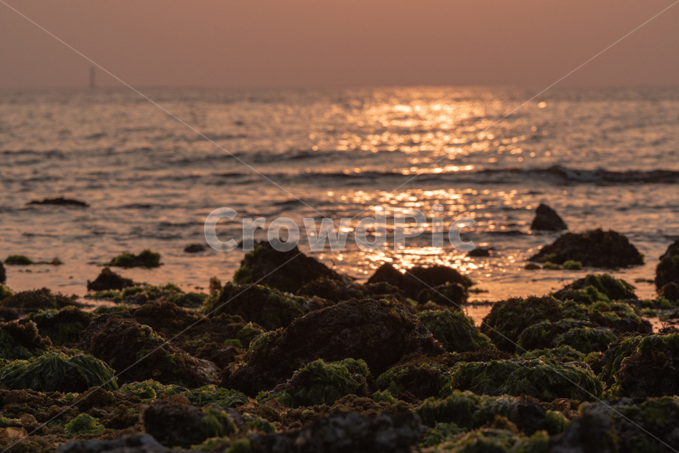 바다,일몰,sunset,노을,윤슬,sea,자연,풍경,nature,landscape