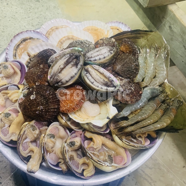해산물,전복,가리비,키조개,개조개,음식,식재료,요리,food,cook,meal,dishes,food reserves,수산물,해산물,fishery products,seafood