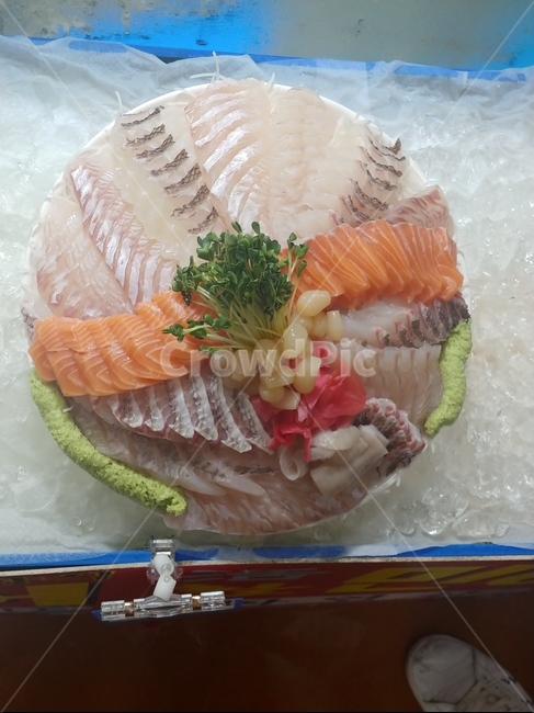 회,노량진,수산시장,참돔,연어,광어,우럭,신선,모둠회,횟집