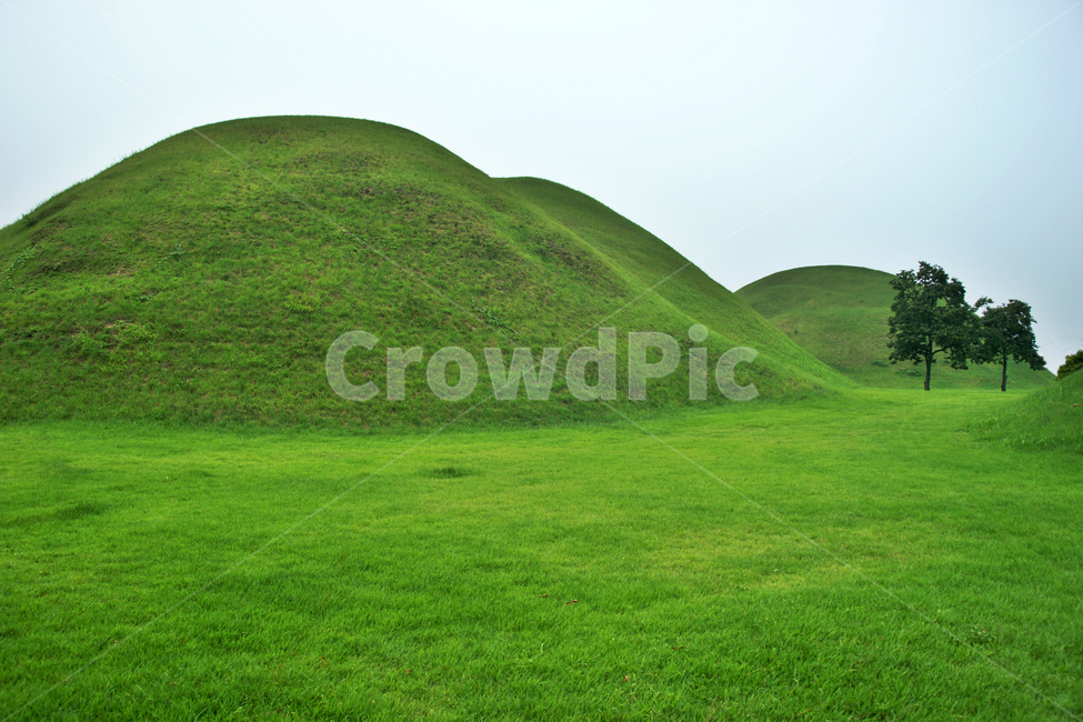 대릉원,경주,신라,왕실,무덤,왕릉,랜드마크,landmark,tourist attraction,한국랜드마크,한국관광지,한국명소,korea landmark,korea tourist attraction