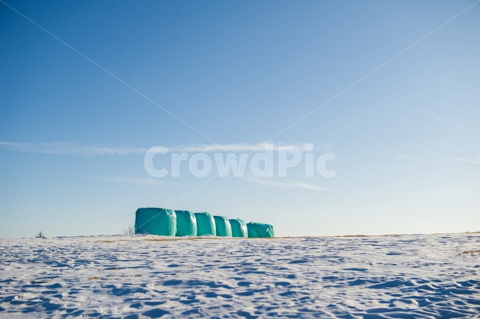 겨울,눈,마시멜로,하늘,구름,눈밭,목장,korea,sky,여행,감성사진,겨울,계절,winter,season,자연,풍경,nature,landscape,outdoors,옥외,snow,iceberg,빙산