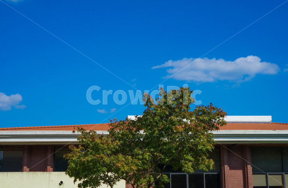 건물,구름,나무,하늘,지붕,풍경,건축물,건물외관,exterior,building,structure,architecture,construction