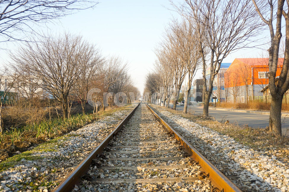 transportation,교통,rail,레일,railway,철도,traintrack,기찻길,가을,갈색,회색,풍경,감성,감성사진,브라운,자갈,나무