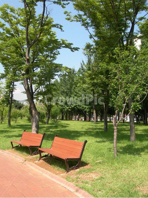 의자,나무,길,공원,벤치,휴식,산책,힐링,자연,bench,tree,way,park,rest,walking,healing,nature