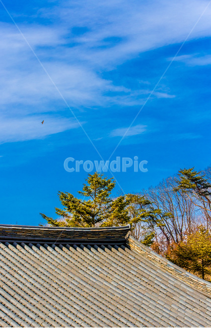 기와,패턴,사찰,무늬,선,한국전통,한국문화,korean traditional,korean culture,건축물,건물외관,exterior,building,structure,architecture,construction