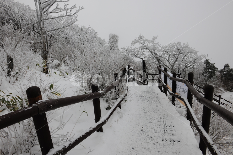 무주,눈,설경,덕유산,길,겨울,눈길,겨울풍경,눈내린,난간,자연,nature,ice,옥외,겨울,계절,winter,season