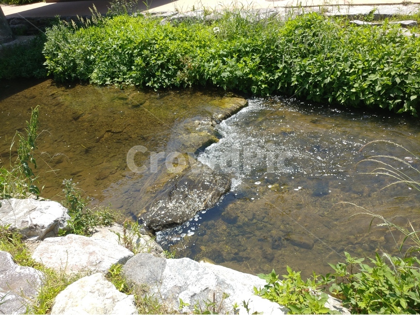 물결,물보라,반짝임,높이차이,풀,물,냇물,초록,여름,계절,summer,season,자연,풍경,nature,landscape,water,outdoors,옥외,land,땅