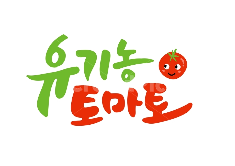 캘리그라피,토마토,유기농토마토,손글씨,과일,글씨,여름,캘리그래피,음식,일러스트,calligraphy,fruit,과일,열매,fruit,누끼,remove background,캘리그라피,손글씨,calligraphy