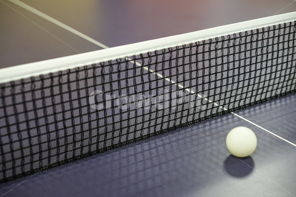 탁구공,스포츠,sports,pingpong,탁구,탁구대,tabletennis,스포츠,레저,운동,sports,leisure,exercise,사물,물건,오브젝트,thing,object,matter