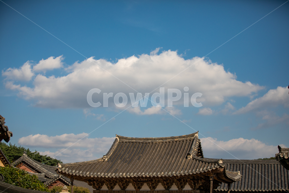 절풍경,절,사찰,사찰풍경,풍경,한국전통,한국문화,불교,종교,한국전통,한국문화,korean traditional,korean culture,건축물,건물외관,exterior,building,structure,architecture,construction