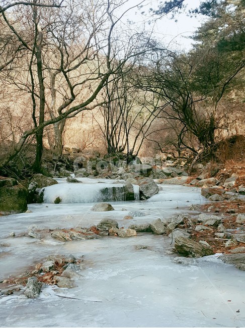 얼음,계곡,겨울,빙판,계절,season,winter,얼음계곡,겨울계곡,풍경,nature,landscape,겨울,계절,winter,season