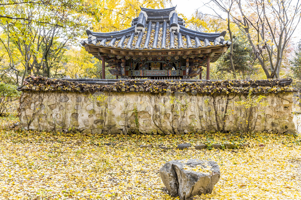 사당,가을,낙엽,단풍,담장,담벼락,가을,계절,fall,autumn,season,한국전통,한국문화,korean traditional,korean culture,건축물,건물외관,exterior,building,structure,architecture,construction,건물,temple,신전