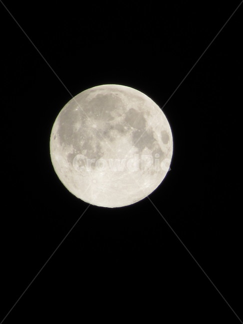 달,자연,감성사진,슈퍼문,쟁반,자연,풍경,nature,landscape,야경,밤,nightscape,night,outer space,대기권 밖,astronomy,천문학,moon,outdoors,옥외,universe,우주,space