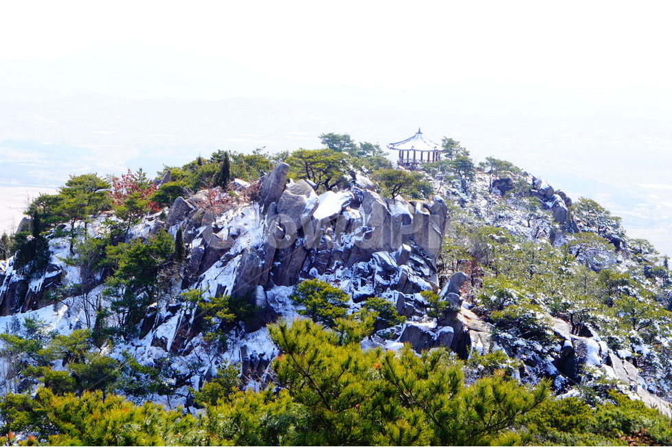 겨울,용봉산,설경,나무,바위,풍경,겨울,계절,winter,season,자연,풍경,nature,landscape,한국자연풍경,한국자연경관,korea nature landscape