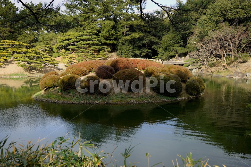 호수,자연,공원,반사,숲,수초,자연,풍경,nature,landscape,식물,plants