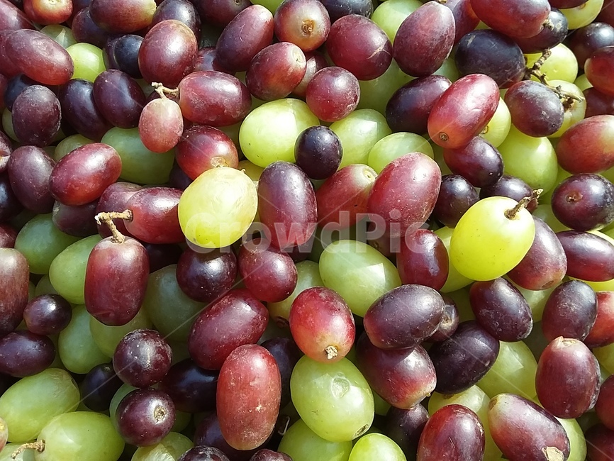 포도,과일,녹색,갈색,fruit,음식,식재료,요리,food,cook,meal,dishes,food reserves,과일,열매,fruit