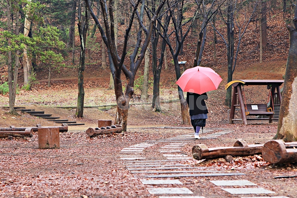 공원,빨강우산,나무,풍경,자연,배경,인천대공원
