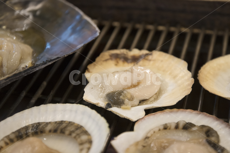 조개구이,조개,강릉,음식,조개구이사진,조개사진,바다조개,범인,음식,식재료,요리,food,cook,meal,dishes,food reserves,수산물,해산물,fishery products,seafood