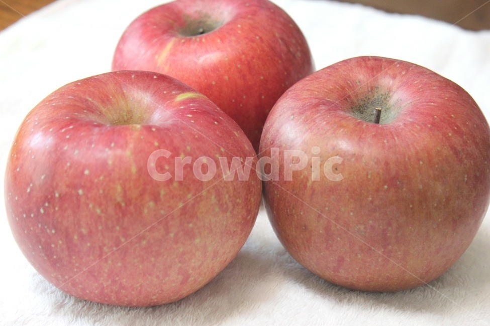 apple,사과,food,fruit,과일,붉은색,음식,과일,열매,fruit