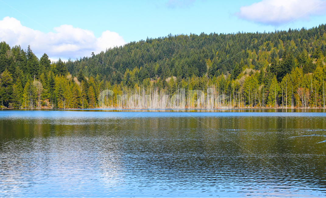 mirror,forest,Clean,peaceful,scene,spring,beautiful,healing,reflect,mountain,sight,spring day,quiet,sky,rest,windless,reflection,nature,clear,tree,Decalcomani,blue,lake