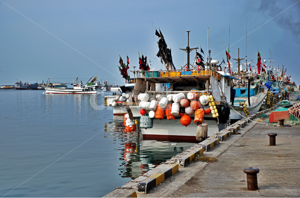 어선,고깃배,부두,한림항,제주도,어업,fishery,fishing industry