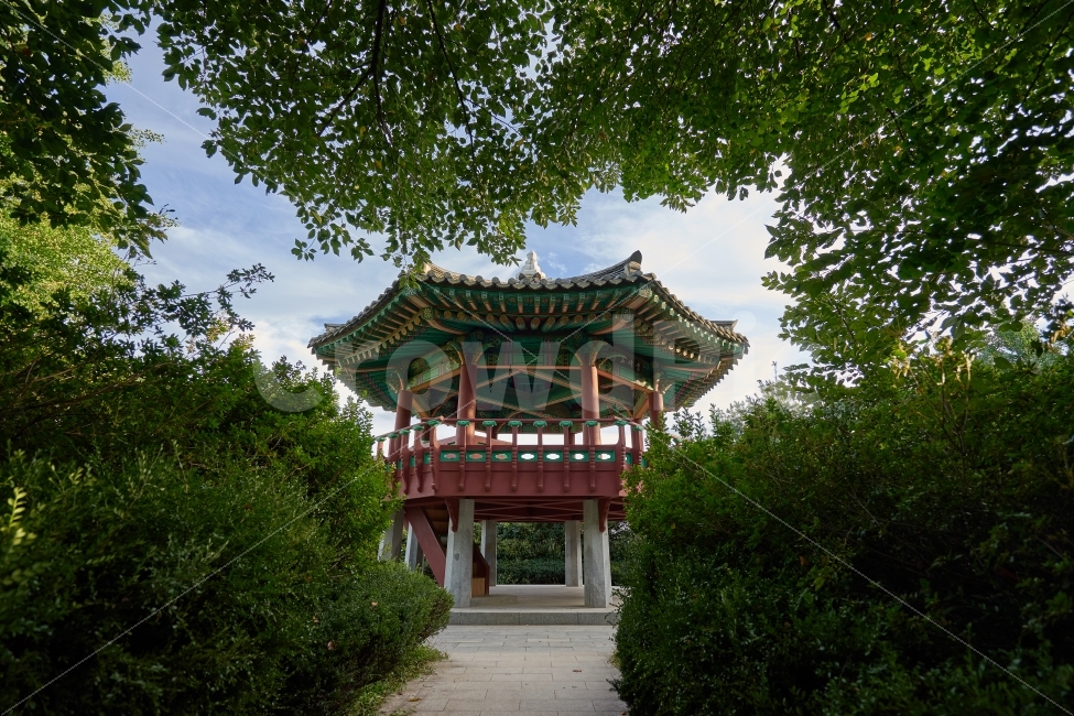 팔각정,전망대,정자,한국적,단청,전통건축물,한국문화,문화,숲길,나무,휴식,힐링,등산,한국전통,한국문화,korean traditional,korean culture