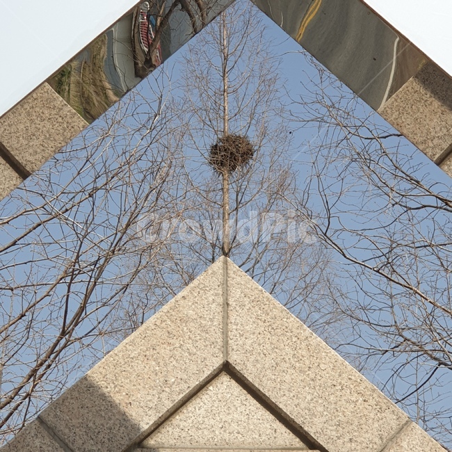 삼각형,triangle,mirror,자연,background