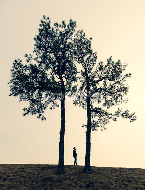 고독함,정취,외로움,고독나무,나홀로,식물,자연,plants,nature,나무,trees,wood,사람,인물,인간,human,person,남성,남자,man,male,고독함,외로움,쓸쓸함,우울함,슬픔,lonely,solitary