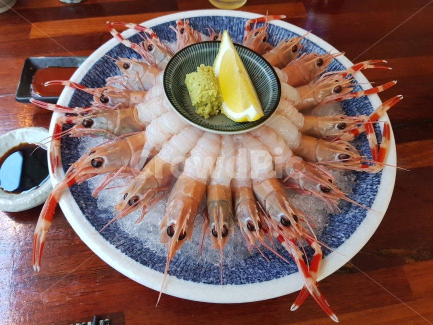 음식,식재료,새우,회,접시,cook,Food,Shrimp,Dish,음식,식재료,요리,food,cook,meal,dishes,food reserves,수산물,해산물,fishery products,seafood