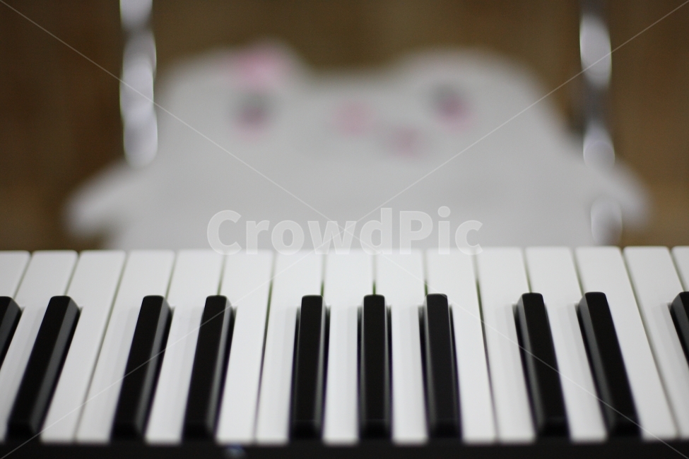피아노,건반,음악,music,piano,악기,음향기기,musical instrument,musical equipment