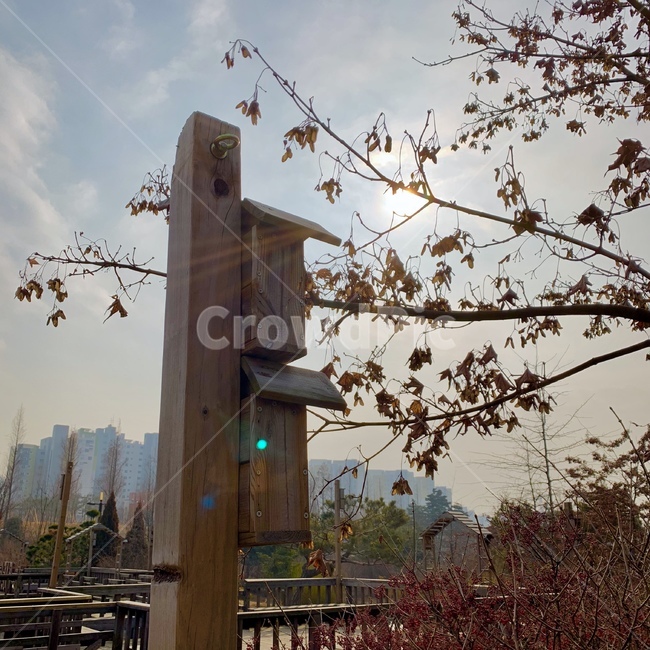 하늘,햇빛,나무,자연,풍경,가을,계절,fall,autumn,season,도시,풍경,city,landscape,한국도시풍경,한국도시경관,korea cityscape