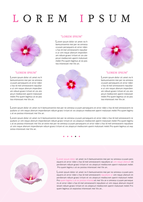무궁화,텍스트박스,말상자,표지,전단지,브로슈어,카달로그,꽃,flower,그래픽,일러스트레이션,graphic,illustration