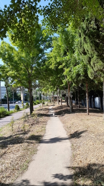 산책길,공원길,숲길,오솔길,도심속산책로,맑은아침,따사로운햇살,나무사이로비치는햇살,맑은날씨,상쾌한산책길,집근처산책길,싱그러운나무,초록색나무,봄길,여유,녹음,여유로운산책,한가로운오후