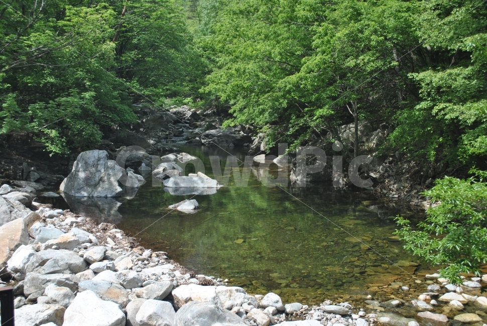 산,계곡,여름,나무,돌,초록색,흰색,시원함,잔잔함,자연,풍경,nature,landscape,여름,계절,summer,season,water,물,stream,흐름,creek,작은 만,outdoors,옥외